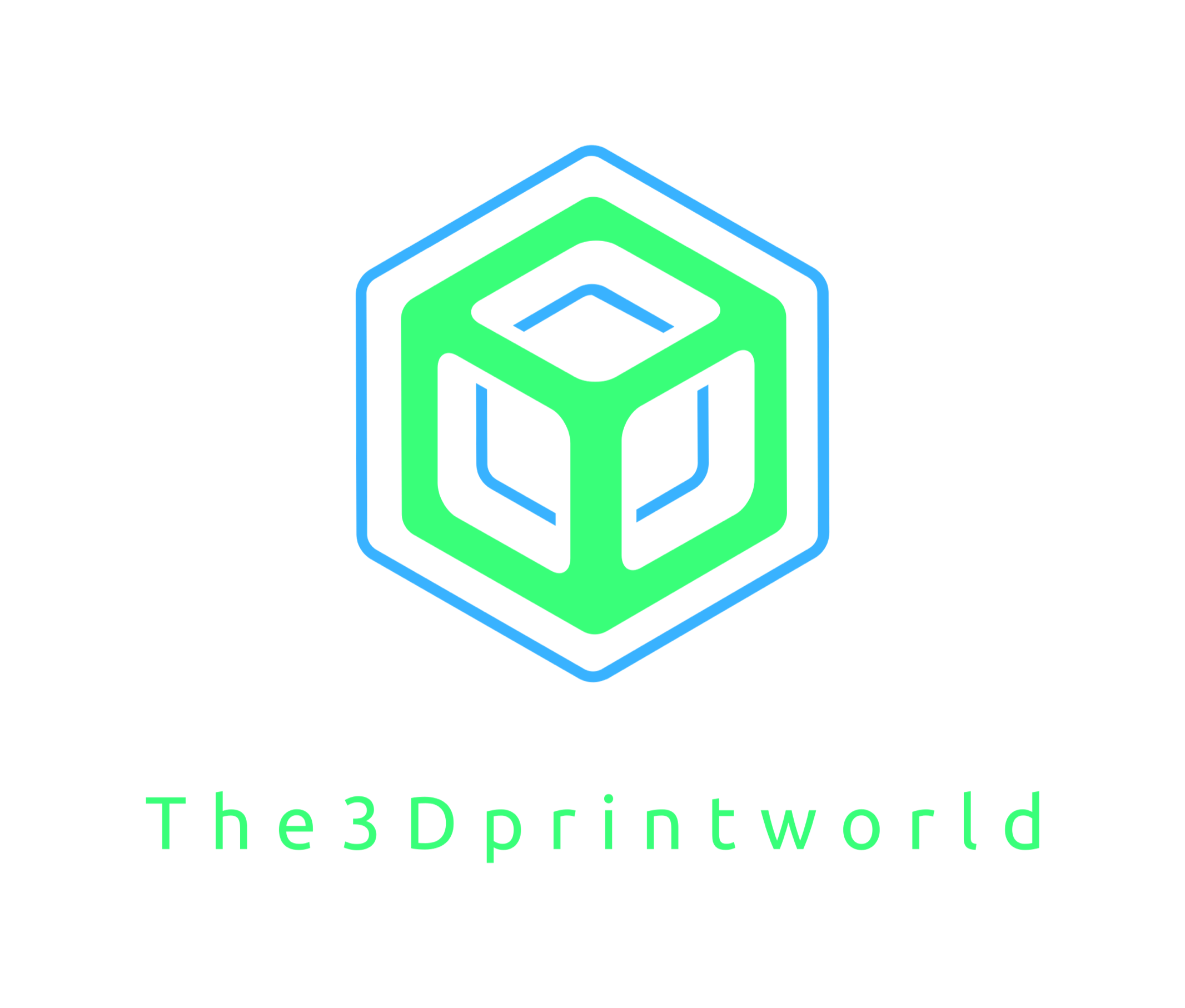 The3Dprintworld